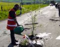 Reteta traficului imposibil in Voluntari: o bariera care sta mai mult coborata si sosele ciuruite