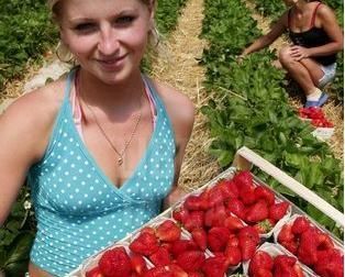 Vrei sa te angajezi in UE? Afla aici care sunt tarile in care inca mai ai nevoie de permis de munca
