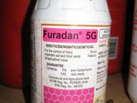 
	Furadan, pesticidul ilegal care a omorat-o pe Madalina Manole, de vanzare pe net, la indemana oricui
