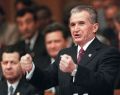 
	Ceausescu reales. In sondaje, cu 41% din "voturi"
