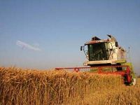 
	Reuters: Taxarea terenurilor necultivate, salvarea agriculturii romanesti

