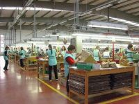 
	Romania la export: japonezele se demachiaza cu lapte Doina, frantuzoaicele se incalta cu pantofi Clujana
