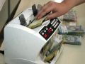 
	Pariul bancilor de investitii straine: patru lei pentru un euro

