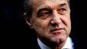 
	ANAF vinde la jumatate de pret terenul lui Becali din Pipera. Si tot nu gaseste cumparator
