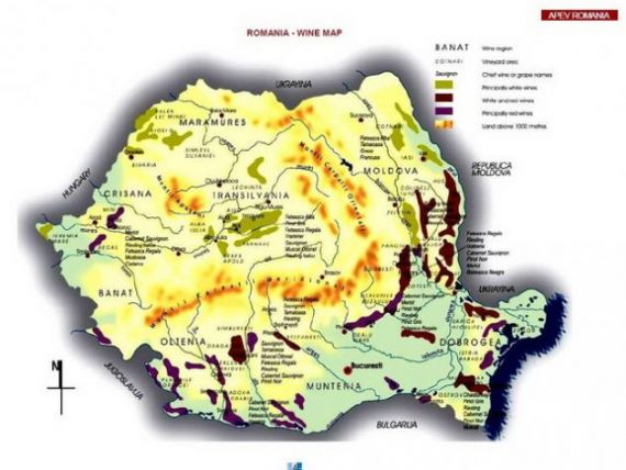 Harta vinului romanesc: principalele podgorii si soiuri de struguri