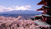 
	Japonia s-a intors in timp. Cum a reusit sa ajunga din nou in anul 1987
