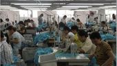 
	Revolta tinerilor chinezi. Cum s-a scumpit forta de munca din Asia
