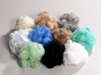 
	15 PET-uri transformate intr-un tricou. Romanii care exporta materie prima pentru branduri
