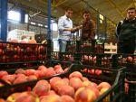 
	Zapada impiedica furnizorii de alimente sa ajunga cu marfa in magazine. Livrarile se fac cu 2 zile intarziere
