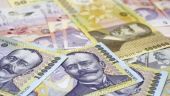 
	Romanii tin de bani. Creditele pentru firme si populatie au scazut in ianuarie
