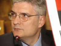 
	Daianu: "Economia este euroizata si functionam ca un consiliu monetar"
