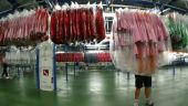 
	Curatarea industriei fashion: secretul prin care retailerii Zara, H&amp;M sau Guess ajung la afaceri de sute de milioane de euro
