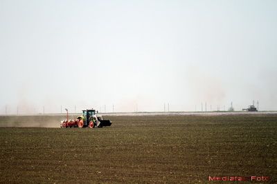 Traderul american care a trecut de la investitii pe Wall Street la achizitii de teren agricol in Romania