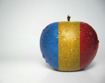 
 Cele mai puternice branduri romanesti. Cum au reusit sa se vanda in Europa, SUA si Asia produsele "made in Romania"
