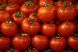 Dispar de pe piata si ultimele legume romanesti. Omologarea semintelor autohtone costa sute de euro, pe care agricultorii nu-i au