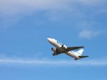 Noul proprietar al Blue Air a prezentat strategia de dezvoltare a companiei. Cum vrea sa redreseze operatorul aerian