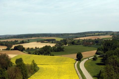 Lupta pentru pamant in propria tara. Cum au devenit italienii, nemtii si arabii proprietarii Romaniei