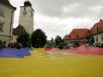 Dorinte pentru Constitutie. Pedeapsa cu moartea, votul obligatoriu si mutarea Capitalei la Brasov, printre propunerilor romanilor