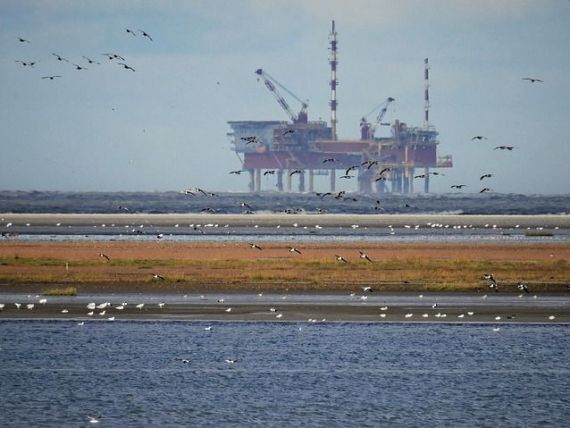 Petrolul isi continua caderea, dupa ce Rusia a anuntat ca nu va participa la reuniunea OPEC. De ce se prabuseste pretul titeiului