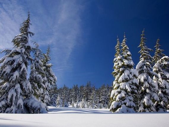 Românii au cheltuit peste 9,4 mil. euro în minivacanţa de 1 Decembrie. Pentru prima dată după 1989, pachetele city break în țară au fost mai bine vândute decât cele din străinătate