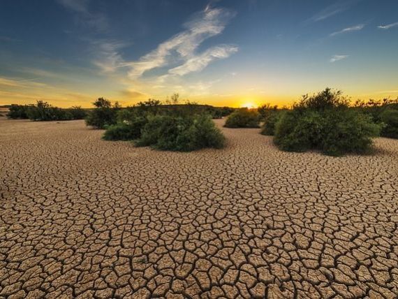 Schimbările climatice dau peste cap marile orașe ale lumii. Anul în care clima la Londra va fi ca la Madrid, iar la Paris, ca la Canberra