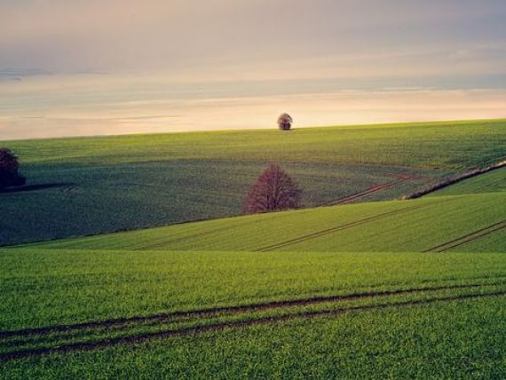 România ar putea hrăni 35 de milioane de oameni cu terenul pe care îl are, dar este doar la jumătate din capacitate în domeniul agriculturii