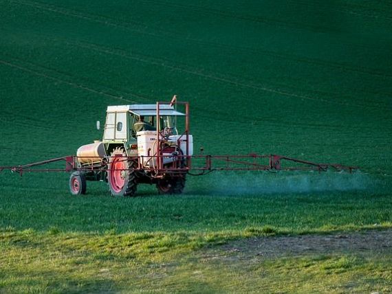 Două țări din Europa interzic cel mai folosit erbicid din lume, potential cancerigen pentru oameni. Fermierii români au cerut CE păstrarea lui în uz