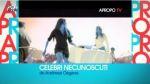 Celebri necunoscuti - partea II