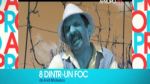 8 dintr-un foc la Apropo Tv