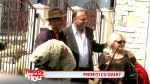 Doamna cu tigaile, Mirabela Dauer, asaltata de mai multi barbati urmariti de politie